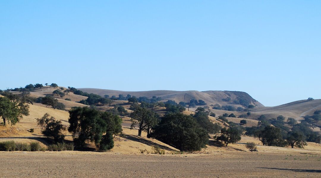 Santa Barbara Wine Country, California. Flickr: Kate Nevens