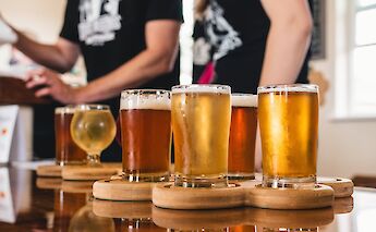 Beer tasting. Meritt Thomas@Unsplash