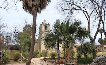 Trees in the courtyard at Mission Concepcion, San Antonio, Texas, USA. CC: MARELBU