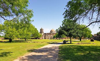 Trees at the garden outside the Mission San Jose, San Antonio, Texas, USA. CC: Irid Escent