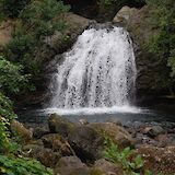 Small waterfall within the Blue Mountain Rainforest, Montego Bay, Jamaica. Midnight Believer@Flickr
