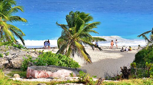 Group photos on a beach in Barbados. Anthony Ingham@Unsplash