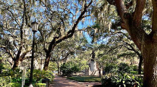Spanish moss oaks, Savannah, Georgia. Tomas Martinez@Unsplash