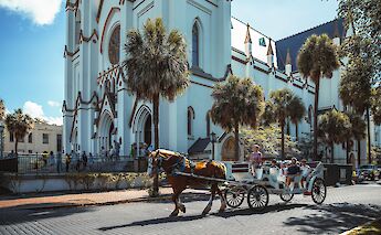 Cathedral St. John the Baptist, Savannah, Georgia. Diane Picchiottino@Unsplash