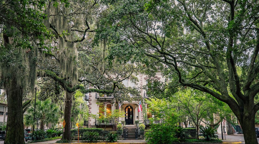 Square, Savannah. Sunira Moses@Unsplash