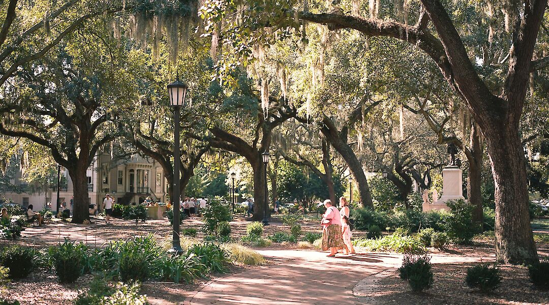 Square with live oaks, Savannah, Georgia. Benjamin Disinger@Unsplash