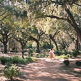 Square with live oaks, Savannah, Georgia. Benjamin Disinger@Unsplash