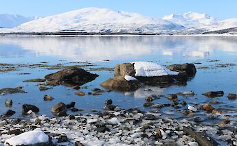 Cold beach of Telegrafbukta, Tromso, Norway. Sparrow@Wikimedia Commons