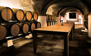 Wine tasting on the Alentejo, Portugal E-bike Tour