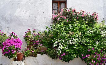 Springtime in Alentejo, Portugal. Jocelyn Erskine-Kellie@Flickr