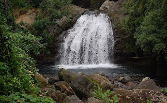 Waterfall within the forests in Blue Mountain, Ocho Rios, Jamaica. Midnight Believer@Flickr
