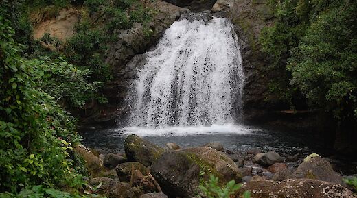 Waterfall within the forests in Blue Mountain, Ocho Rios, Jamaica. Midnight Believer@Flickr