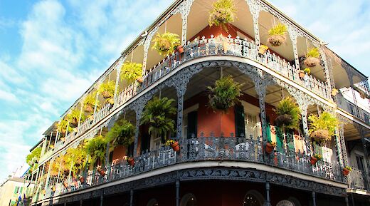 Cruise through Creole NOLA