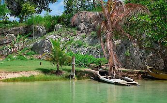 A dilapidated boat tied to a coconut tree trunk in Ocho Rios, Jamaica. Andrzj Brown@Unsplash