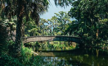 City park, New Orleans. Susan Q Yin@Unsplash
