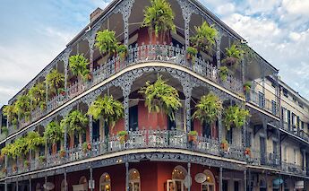 Ferns in the French Quarter, New Orleans. Rosie Kerr@Unsplash