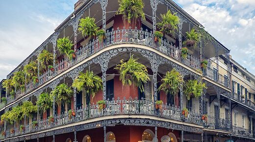 Ferns in the French Quarter, New Orleans. Rosie Kerr@Unsplash