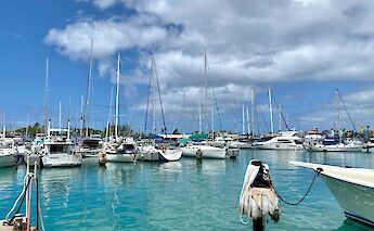 Kewalo Basin Harbor, Kakaako, Honolulu. Warren LeMay@Flickr