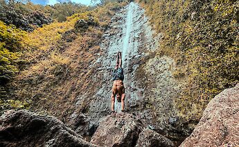 Manoa Falls, Honolulu, Hawaii, USA. Julian Armstrong@Unsplash
