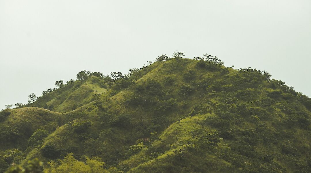 Hills at Manoa Valley, Honolulu, Hawaii, USA. Marc Babin@Unsplash