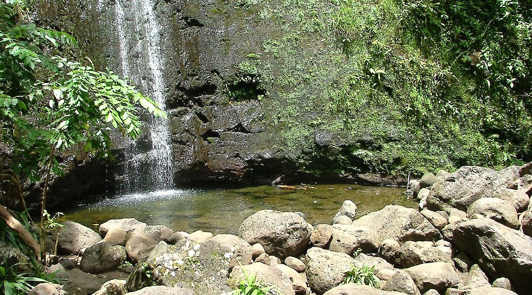 Manoa Falls Pool, Hawaii. Amanda@Flickr