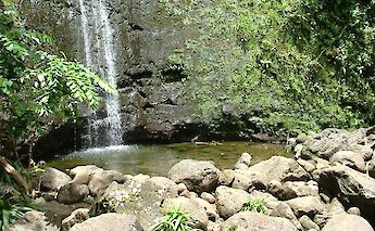 Manoa Falls Pool, Hawaii. Amanda@Flickr