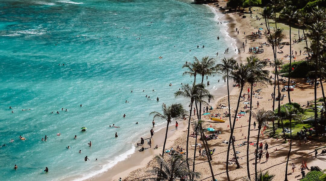 Palm trees lining the shore, Beach in Honolulu, Hawaii, USA. Samantha Sophia@Unsplash
