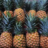 Pineapples from Honolulu, Hawaii, USA. Juno Jo@Unsplash