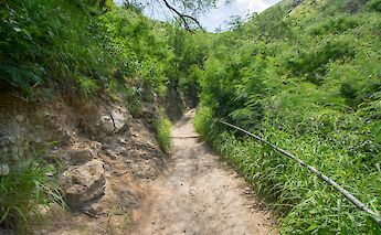 Hiking Diamond Head, Honolulu, Hawaii. Flickr: Daniel Ramirez