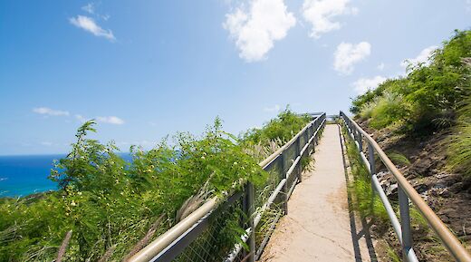 Diamond Head Hike & Bike Tour Honolulu, Honolulu, HI