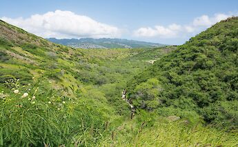 The View from the trail on Diamond Head, Honolulu, Hawaii. Flickr: Daniel Ramirez