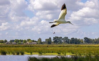 Countryside of Holland! ©Hollandfotograaf