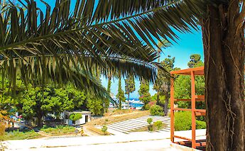 Rhodes, Greece. Medeea Codalbu@Unsplash