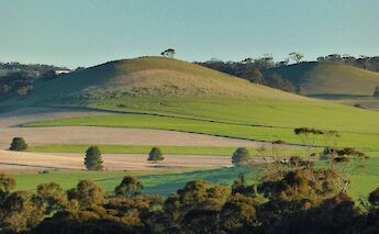 Hills at Nuriootpa, Adelaide Hills, Australia. Mick Orlick@Unsplash