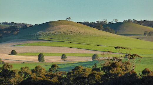 Hills at Nuriootpa, Adelaide Hills, Australia. Mick Orlick@Unsplash