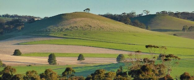 Adelaide Hills tours