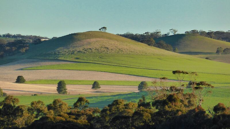 Hills at Nuriootpa, Adelaide Hills, Australia. Mick Orlick@Unsplash