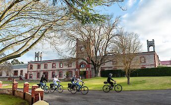 Biking at Yalumba Winery, Angaston, Australia