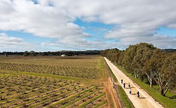 Biking through Barossa Valley Wineries, Australia