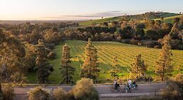 Barossa Valley E-Bike Tour with Wine & Food Tasting Adelaide Hills