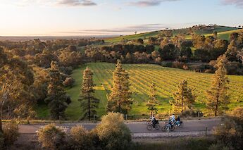 Biking through Adelaide Hills, Australia