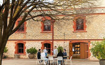 Lunch at Yalumba Winery, Angaston, Australia