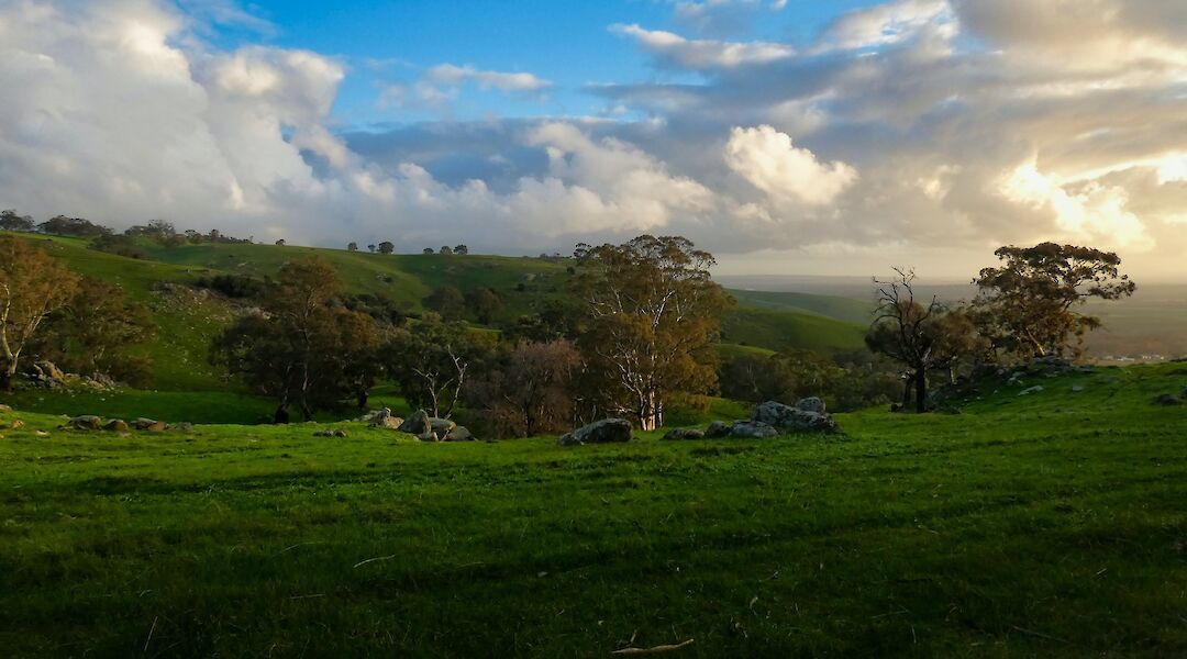 Scenic view in the countryside, Adelaide Hills, Austraila. Mick Orlick@Unsplah