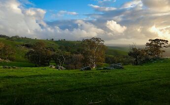 Scenic view in the countryside, Adelaide Hills, Austraila. Mick Orlick@Unsplah