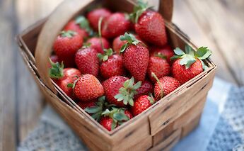 Strawberries along the tour, Adelaide Hills, Australia