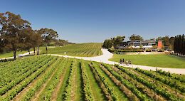 Hahndorf E-Bike Tour with Food & Wine Tastings Adelaide Hills