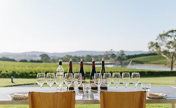 Wine Tasting at Shaw and Smith Winery, Adelaide, Australia