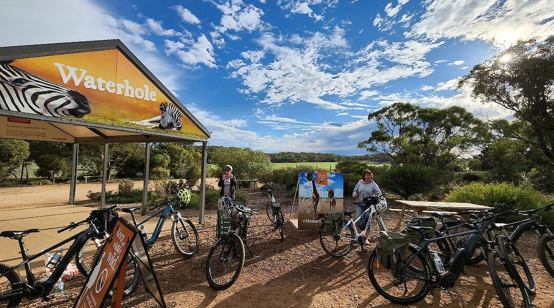 Biking through Monarto Safari Park, Australia