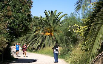 Reserva Ecologica, Buenos Aires, Argentina. Beatrice Murch@Flickr