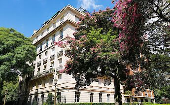 Trees with violet flowers, Recoleta, Buenos Aires, Argentina. Christian von Koenig@Unsplash